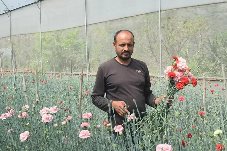 एकीकृत बागवानी विकास मिशन से फूलों की खेती कर सफल किसान बने सुरेन्द्र प्रकाश