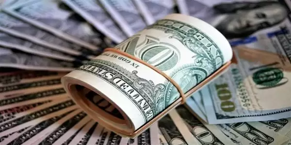 देश का विदेशी मुद्रा भंडार डॉलर घटकर 595.954 अरब डॉलर पर