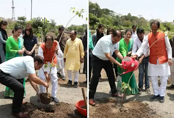 मप्र : मुख्यमंत्री चौहान ने स्मार्ट सिटी उद्यान में रोपे पीपल, केसिया और गूलर के पौधे