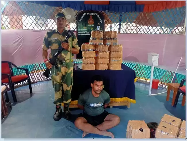 बीएसएफ ने सीमा पर फेंसिडिल की बोतलों के साथ बांग्लादेशी नागरिक को रंगेहाथ पकड़ा