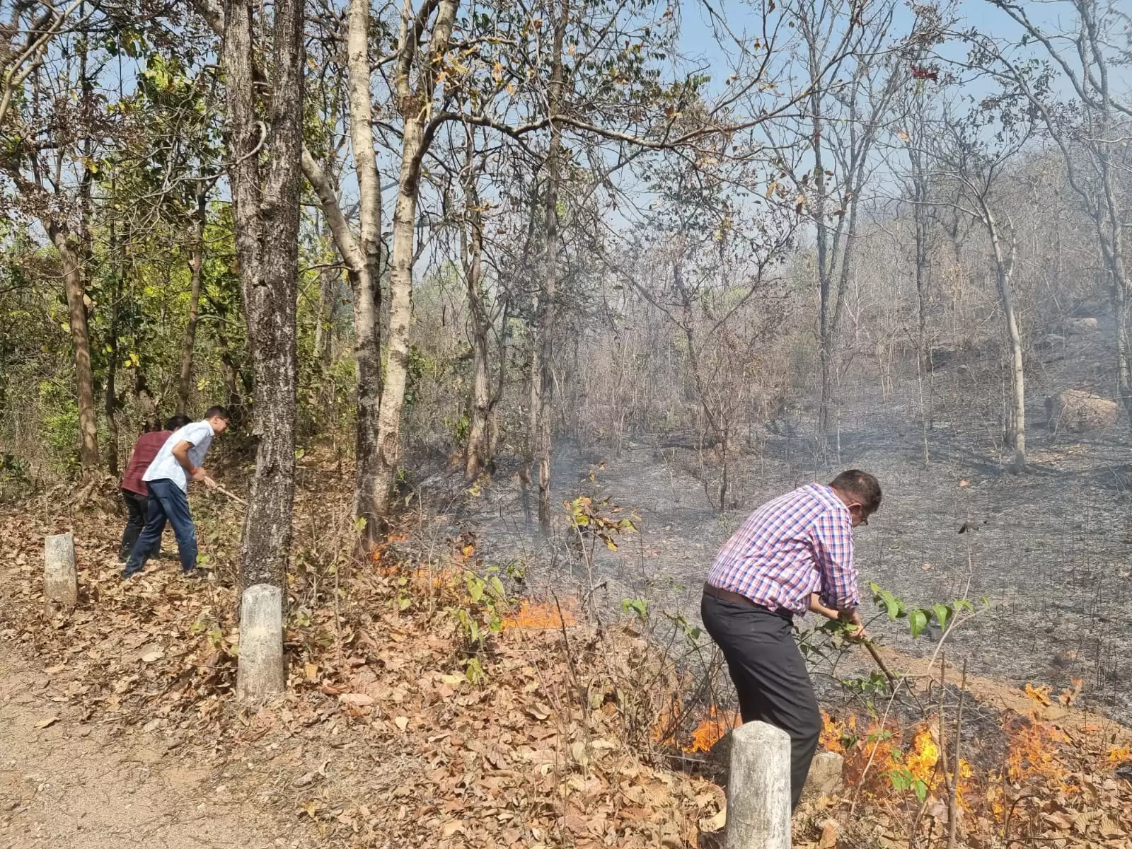 जंगल में लगी आग बुझाने सक्रिय है वन विभाग