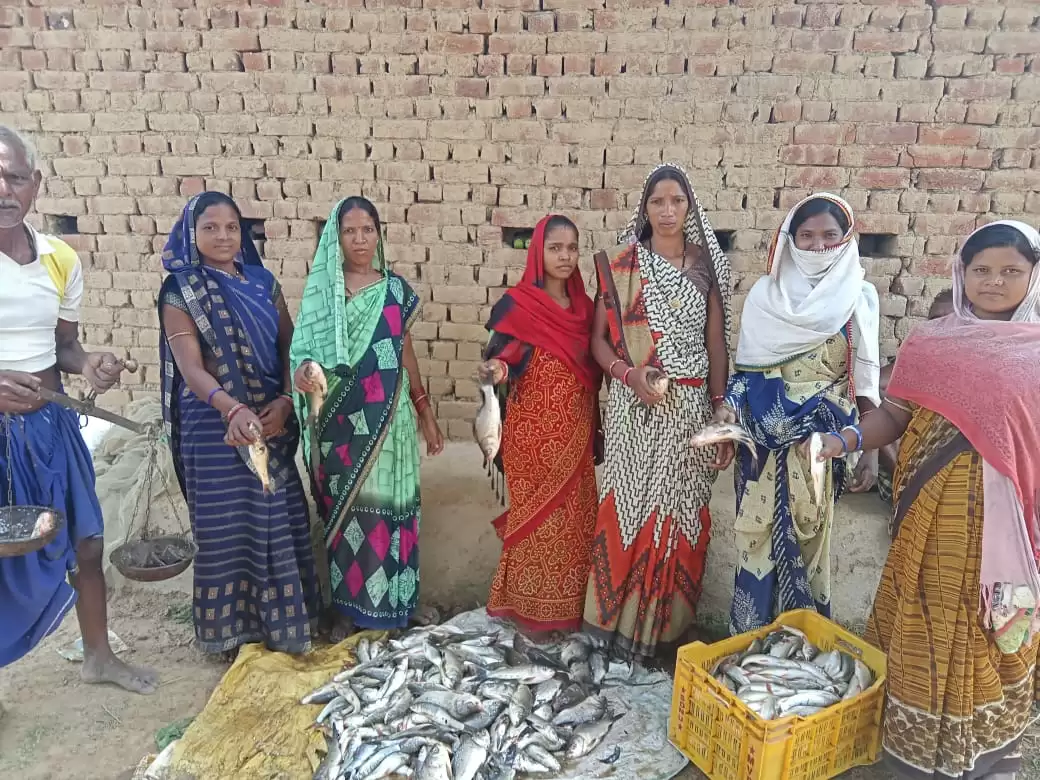 मछली पालन कर आर्थिक उन्नति की ओर बढ़ रही समूह की महिलाएं