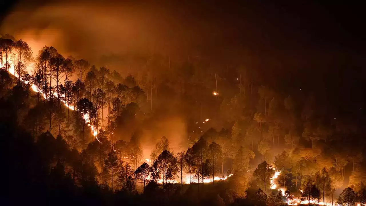  Uttarakhand forest fire