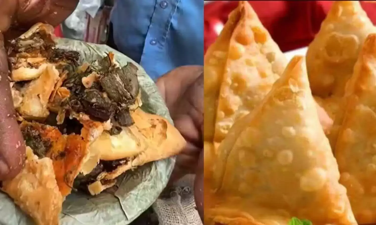 Bhindi samosa