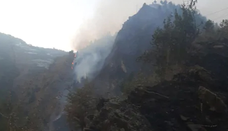 जंगल में लगी आग में 21 साल का युवक जिंदा जल कर राख