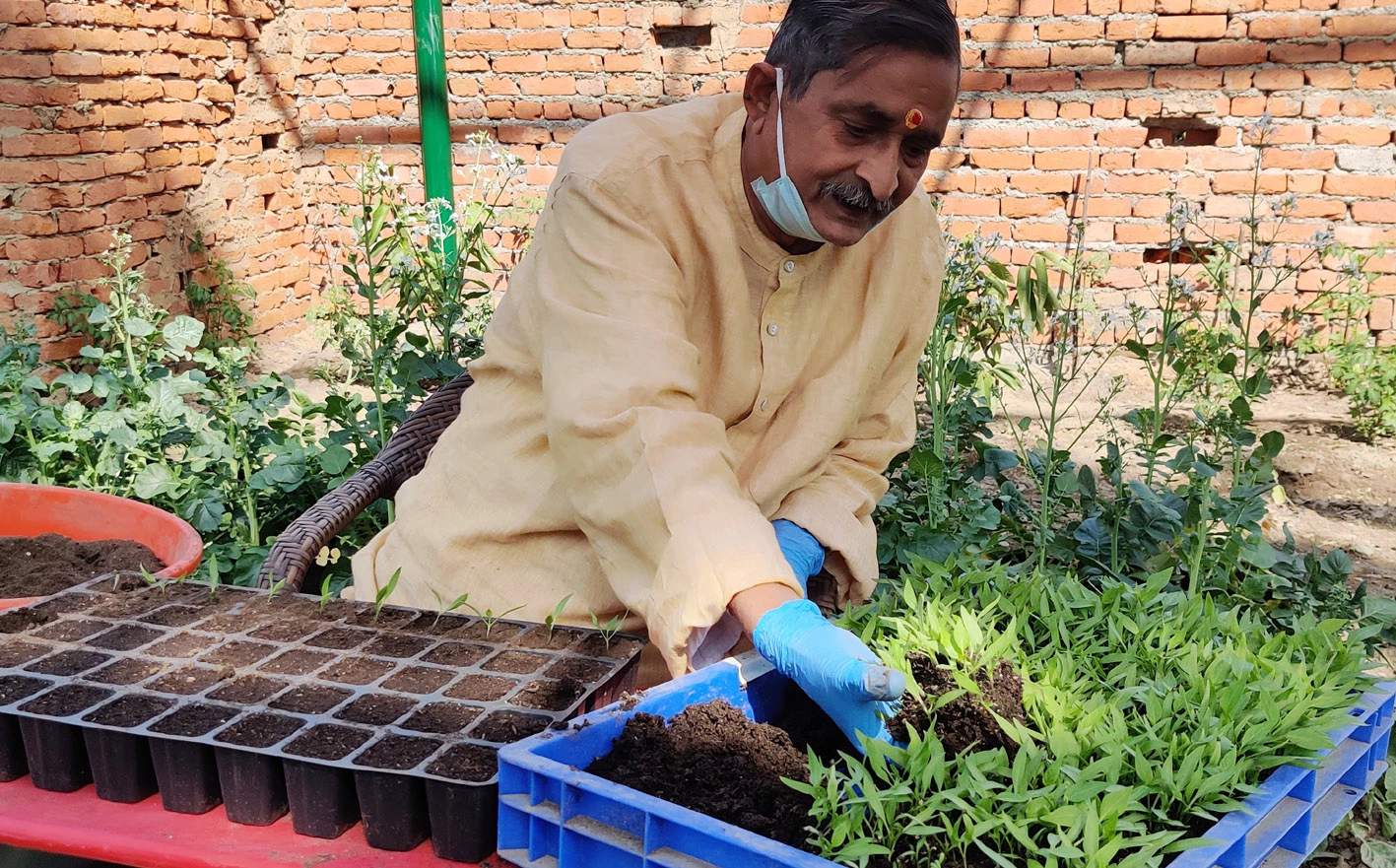 RK सिन्हा को दादा से मिली प्रेरणा, अब जैविक मैन के नाम से हैं विख्यात