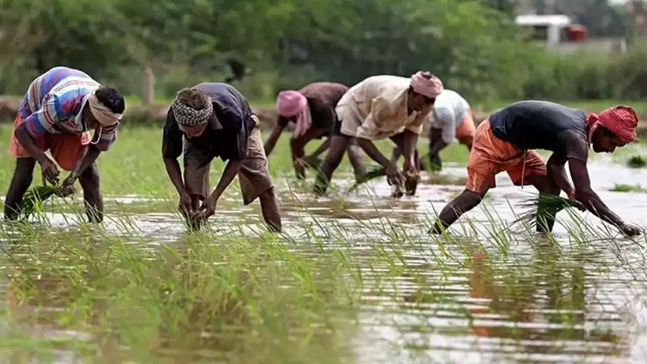 PM Kisan Yojana