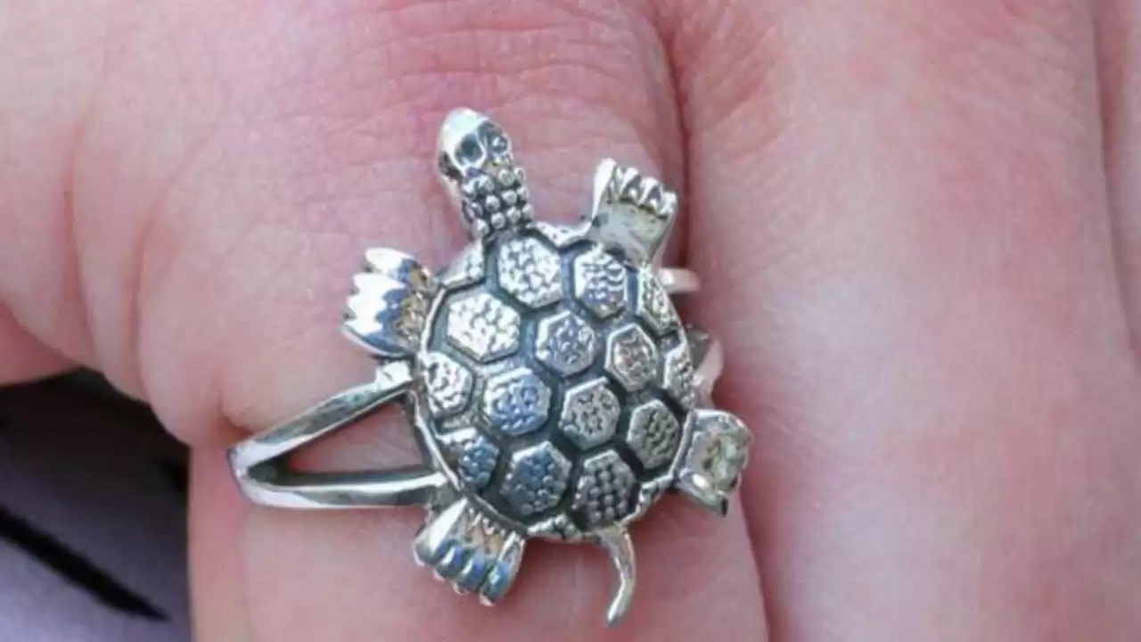 आप भी पहनते हैं कछुए की अंगूठी, हो जाएं सावधान, जान लें किसे करना चाहिए  धारण और किसे नहीं - Astro tips for turtle ring who can wear whom should not  know