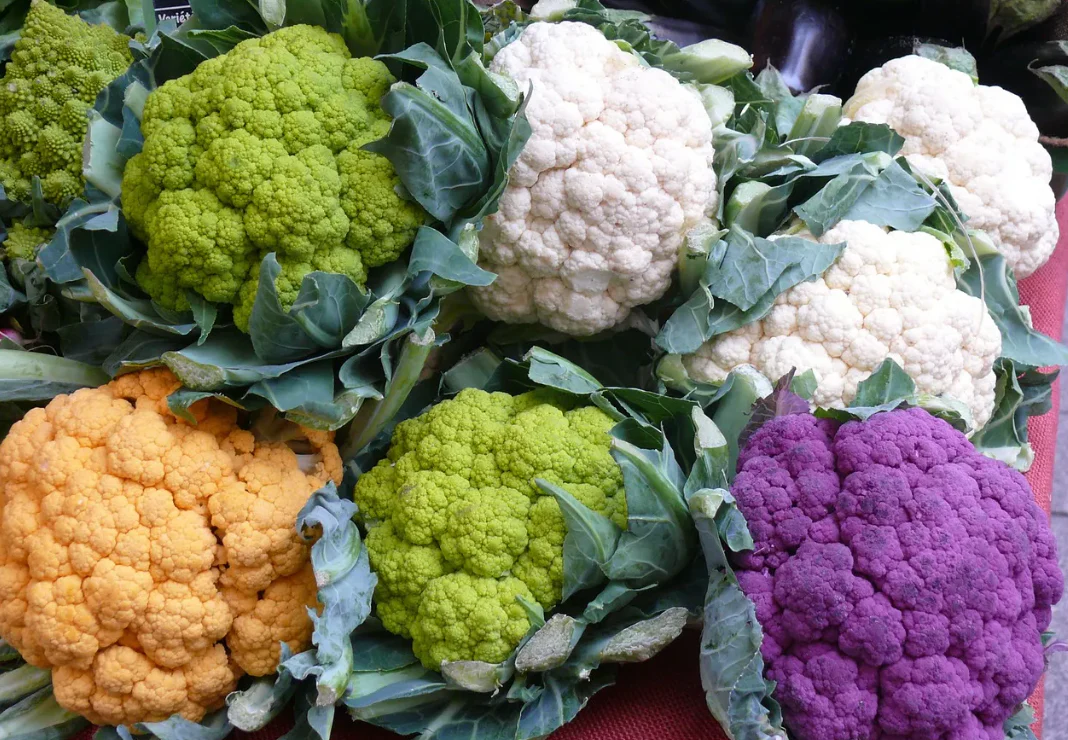 Colorful Cauliflower 