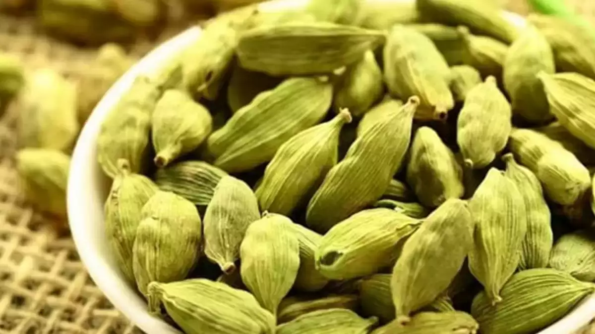 cardamom empty stomach